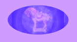 07240902_upcoming_antique_shows001011.jpg